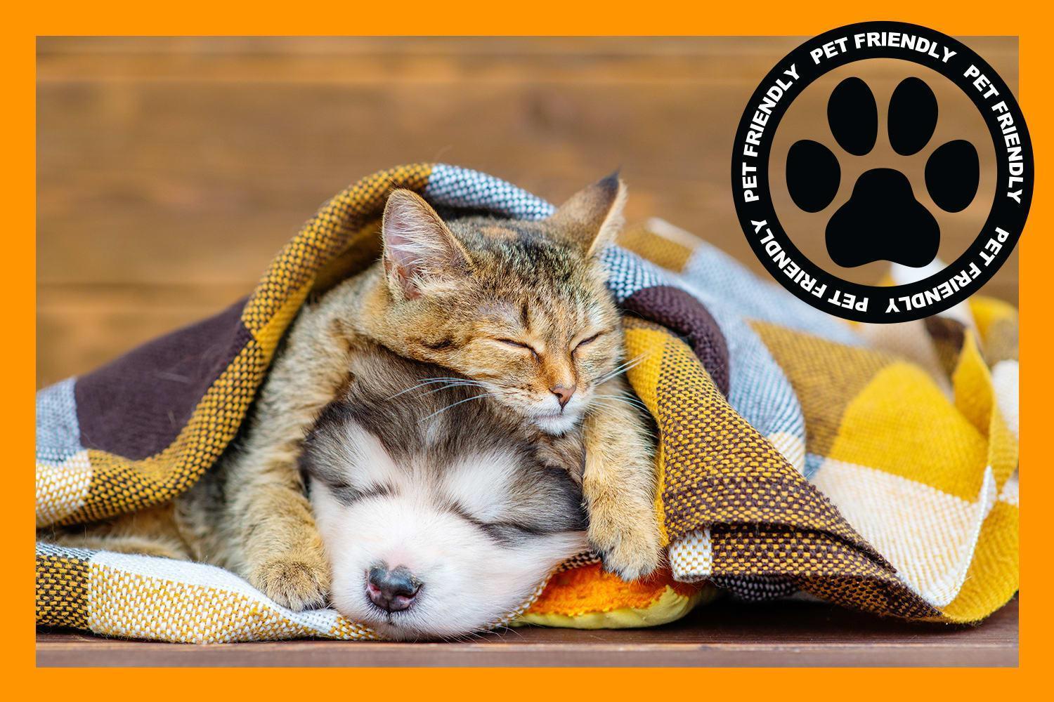 Marmalade By Cloud Dream Homes Salt Lake City Esterno foto